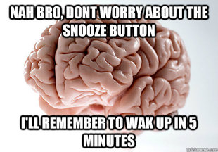 Scumbag Brain