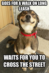 Good Dog Greg