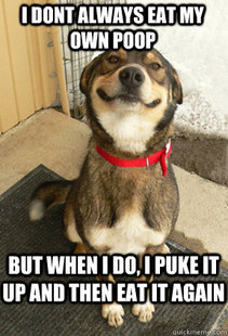 Good Dog Greg