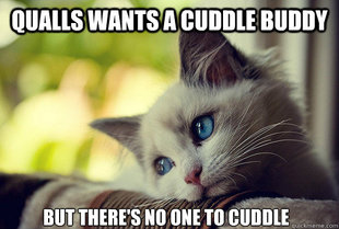 First World Cat Problems