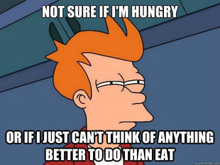 Futurama Fry