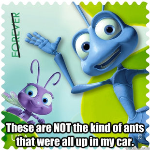 cute ants