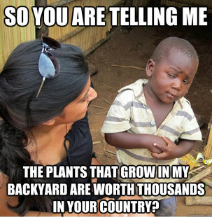Skeptical Third World Kid