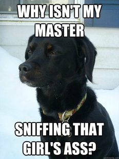 Philosophical Puppy