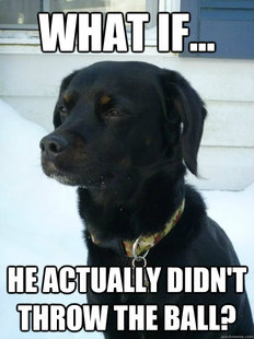 Philosophical Puppy