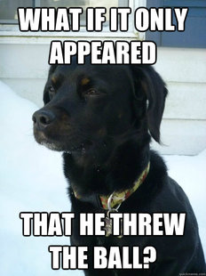 Philosophical Puppy