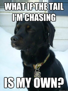 Philosophical Puppy