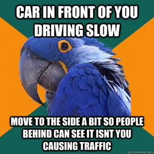 Paranoid Parrot