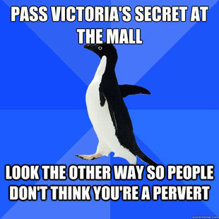 Socially Awkward Penguin