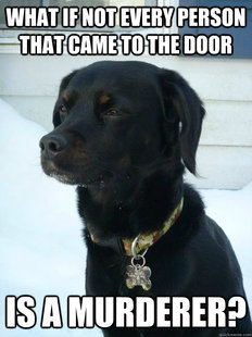 Philosophical Puppy