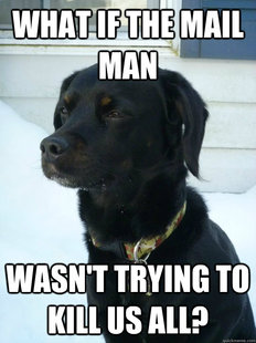 Philosophical Puppy