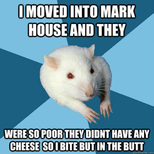Psychology Major Rat