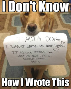 Smart dog..