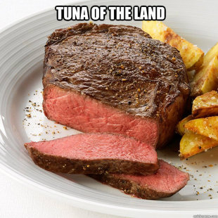 Now Jessica Can know Tuna of the Land