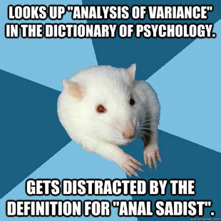 Psychology Major Rat