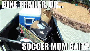 Soccer Mom Bait