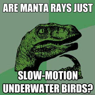 Philosoraptor