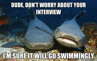 Compassionate Shark Friend