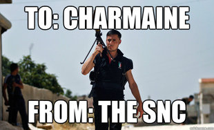 Ridiculously Photogenic Syrian Soldier