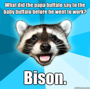 Lame Pun Coon