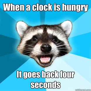 Lame Pun Coon