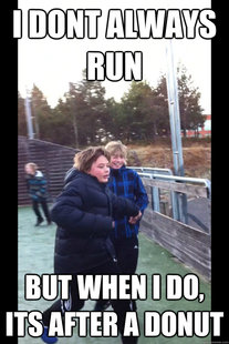 Sander