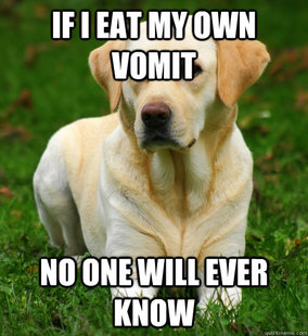 Dog Logic