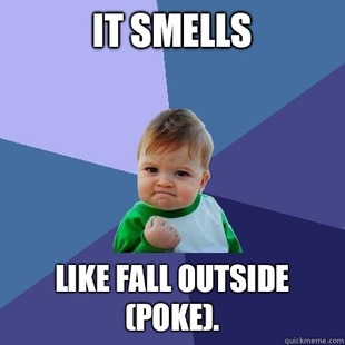 Success Kid