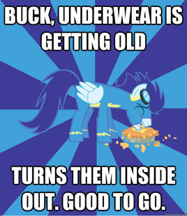 Foal Bachelor Brony