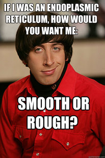 Pickup Line Scientist