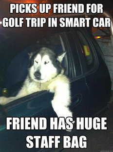 Mean Dog