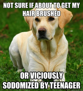Dog Logic