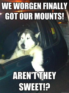 Mean Dog