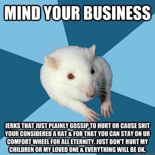 Psychology Major Rat