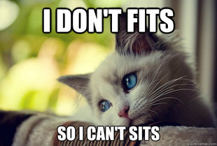 First World Cat Problems