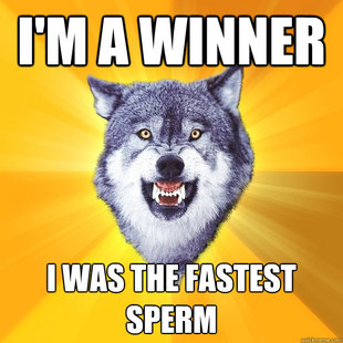 Courage Wolf