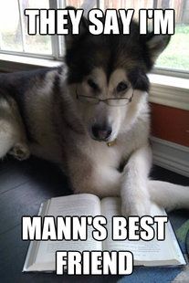 Condescending Literary Pun Dog