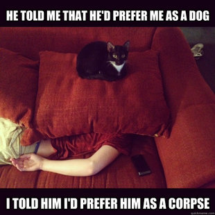 jealous cat