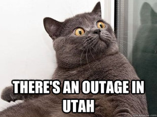 conspiracy cat