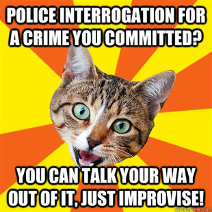 Bad Advice Cat