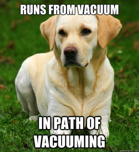 Dog Logic