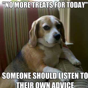 judgmental dog
