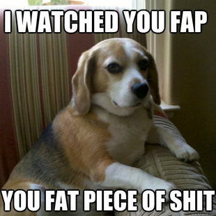 judgmental dog