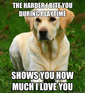 Dog Logic