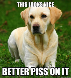 Dog Logic