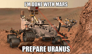 Unimpressed Curiosity