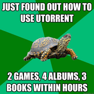Torrenting Turtle