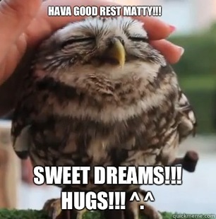 cute owl