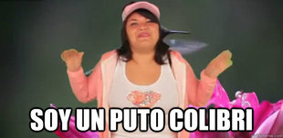 colibritany