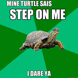 Torrenting Turtle